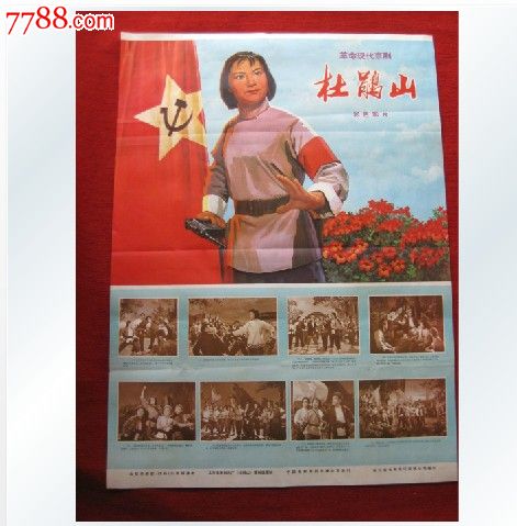 怎么买南卡罗来纳州驾照